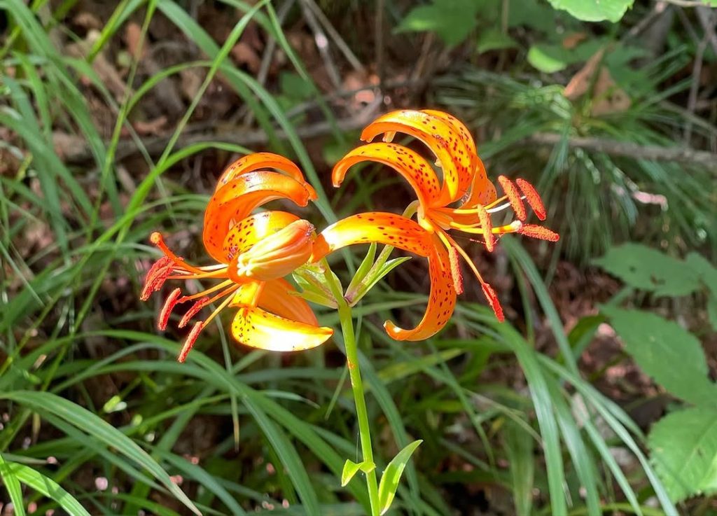 설악은 설악이다