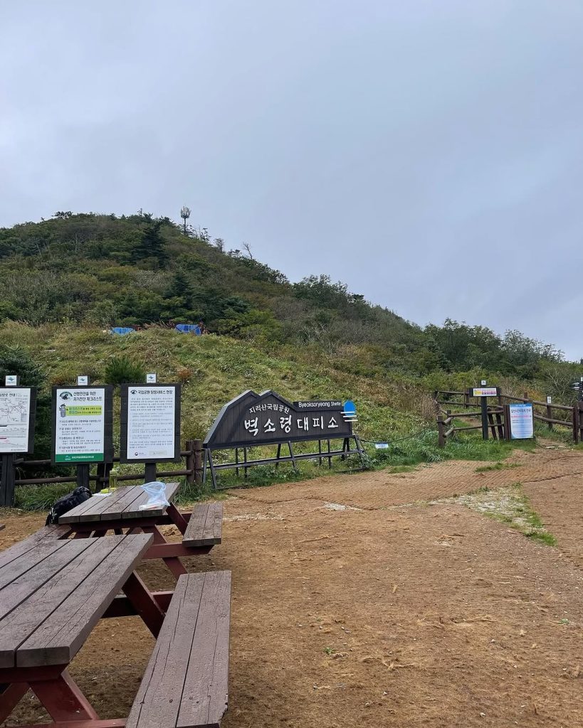 화엄사에서 대원사까지, 마음속 숙제를 마치다