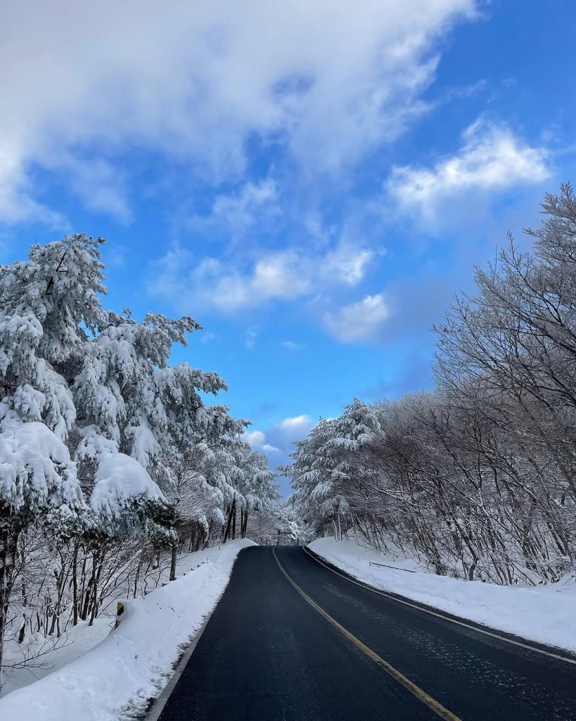 어리목에서 윗세오름까지, 오늘 여기 오르길 잘했다