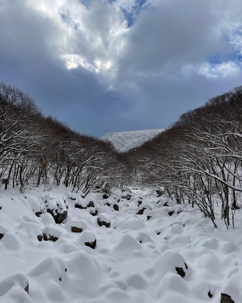 어리목에서 윗세오름까지, 오늘 여기 오르길 잘했다