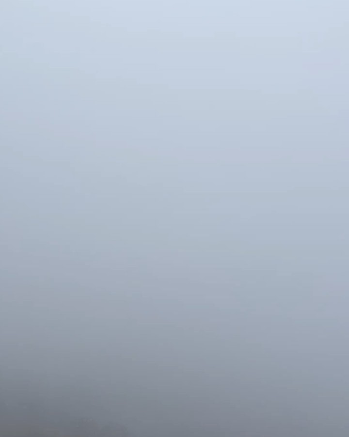 제주로 기울어진 마음