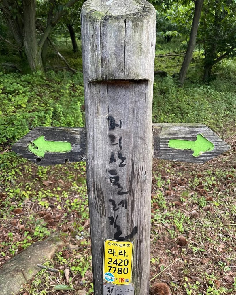 Great Jiri, 좋은 인연과 함께한 지리산의 길