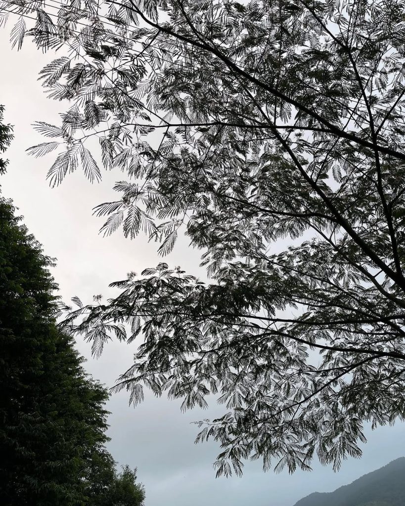 Great Jiri, 좋은 인연과 함께한 지리산의 길