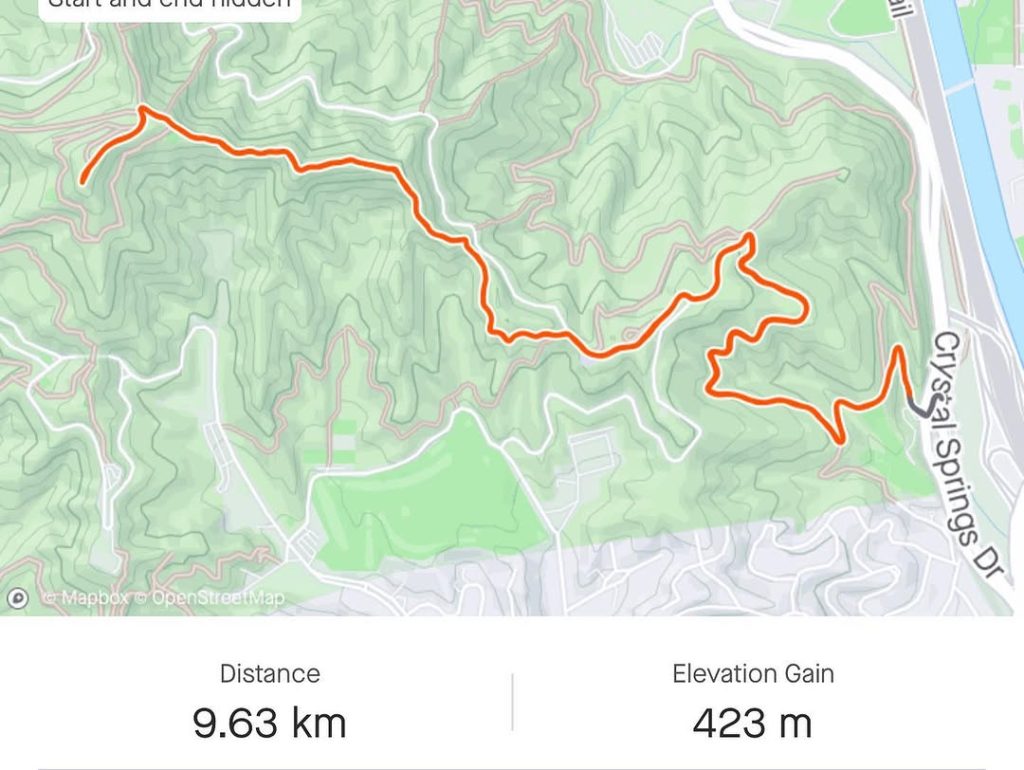 방선 후 Mt. Hollywood, LA의 밤을 걷다