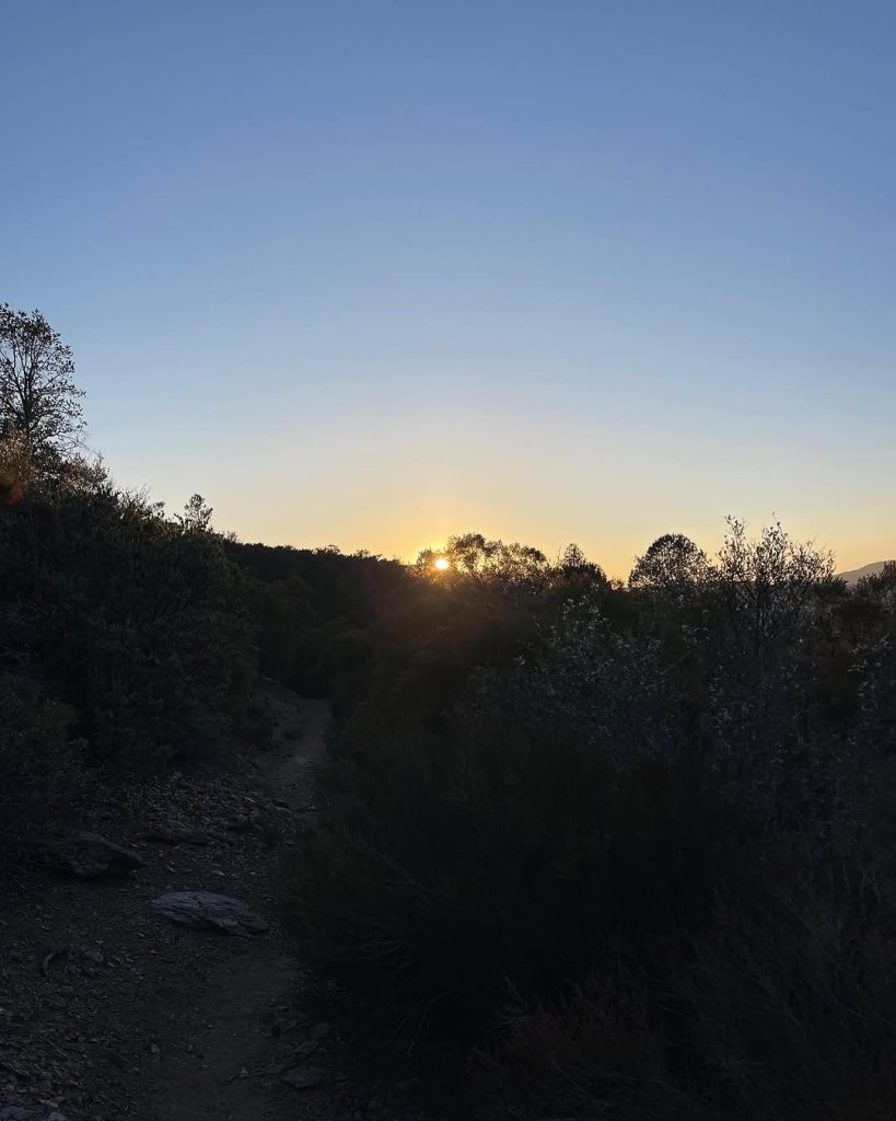 San Jacinto Wilderness - 사막 한가운데 솟은 성스러운 산