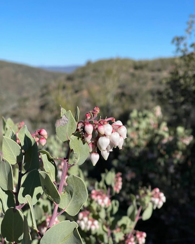 Agua Dulce - Tylerhorse Canyon - Seon Walker라는 이름이 생긴 길